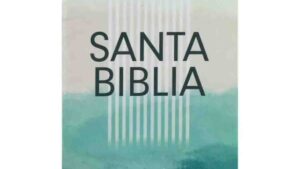 Biblia economica NTV, Edicion semilla (Tapa rustica, Verde)