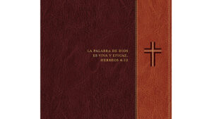 Biblia de estudio del diario vivir NTV - Letra grande (SentiPiel, Cafe/Cafe claro, Letra Roja) - Con indice
