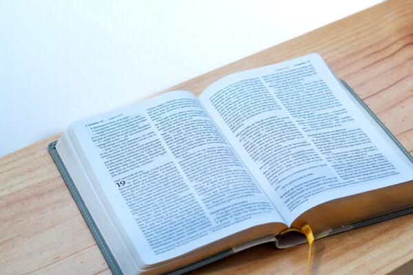 Santa Biblia NTV Letra Grande, Edicion Compacta, Sentipiel duotono, gris y amarillo