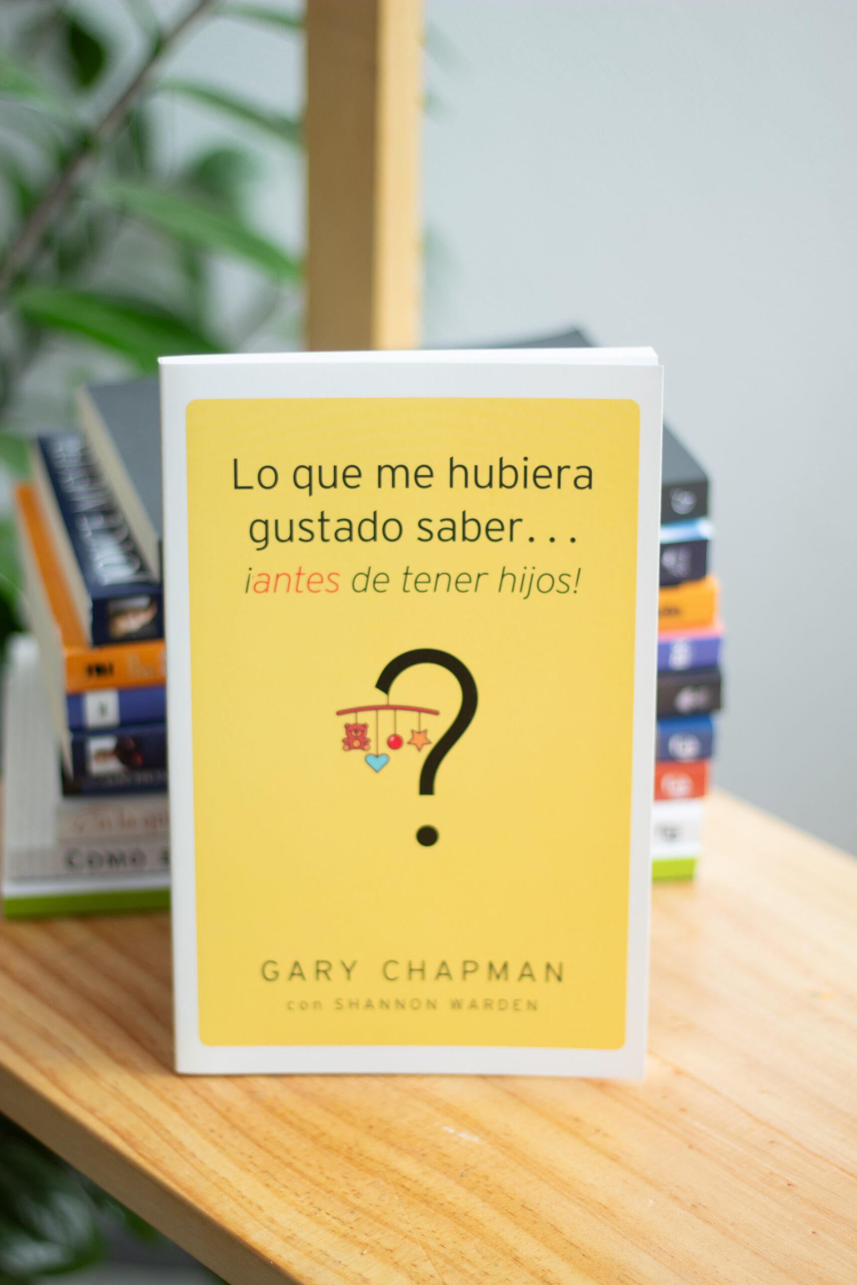 Lo que me hubiera gustado saber antes de tener hijos