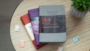 365 Oraciones de Bolsillo (Gris)
