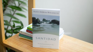 Santidad