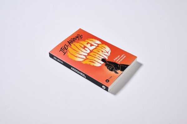 🔥 Literal: Algo que provoca fuego o inflamación. 🔥 Figurativo: Algo que enciende pasión, emoción o provoca una reacción intensa (por ejemplo, un mensaje inspirador o desafiante).