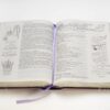 Biblia Inspira NTV