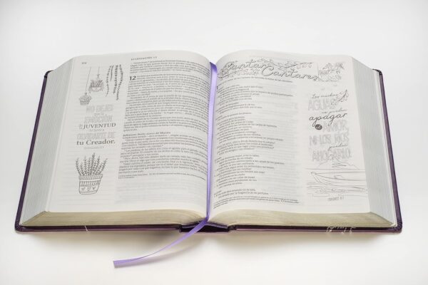 Biblia Inspira NTV