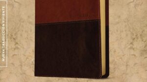 Santa Biblia NTV, Edición personal, letra grande - SentiPiel café/café claro