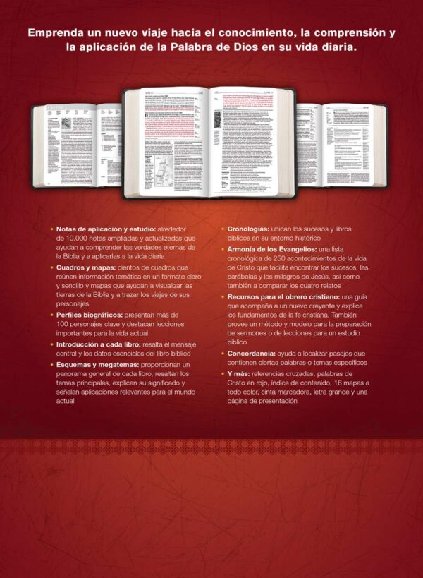 Biblia de Estudio del Diario Vivir RVR60, Letra Grande