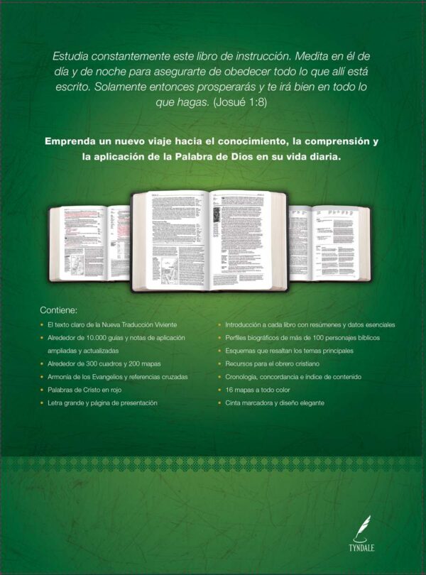 Biblia de Estudio del Diario Vivir NTV, Letra Grande - Vino Rosa