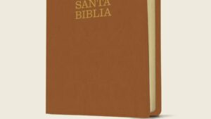 Santa Biblia NTV, Letra Súper Gigante