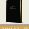 Santa Biblia NTV, Letra Súper Gigante