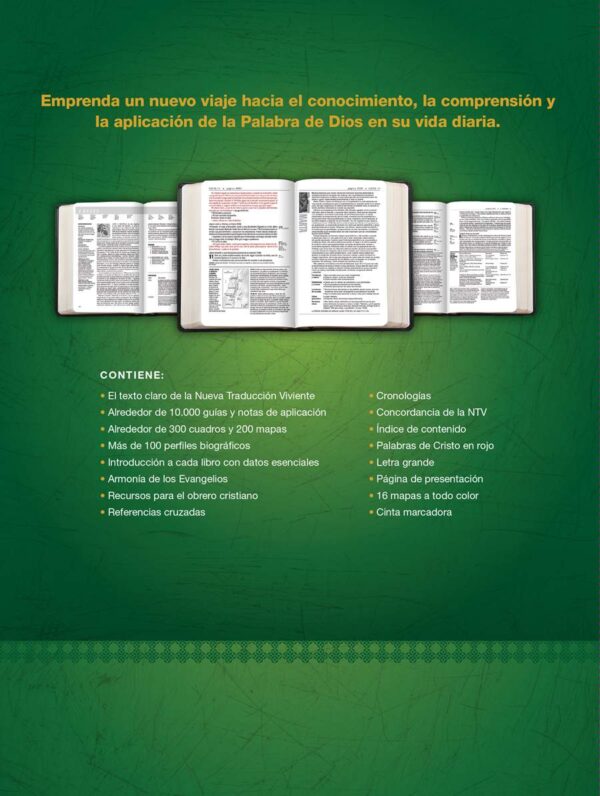 Biblia de Estudio del Diario Vivir NTV, Letra Grande - Negro