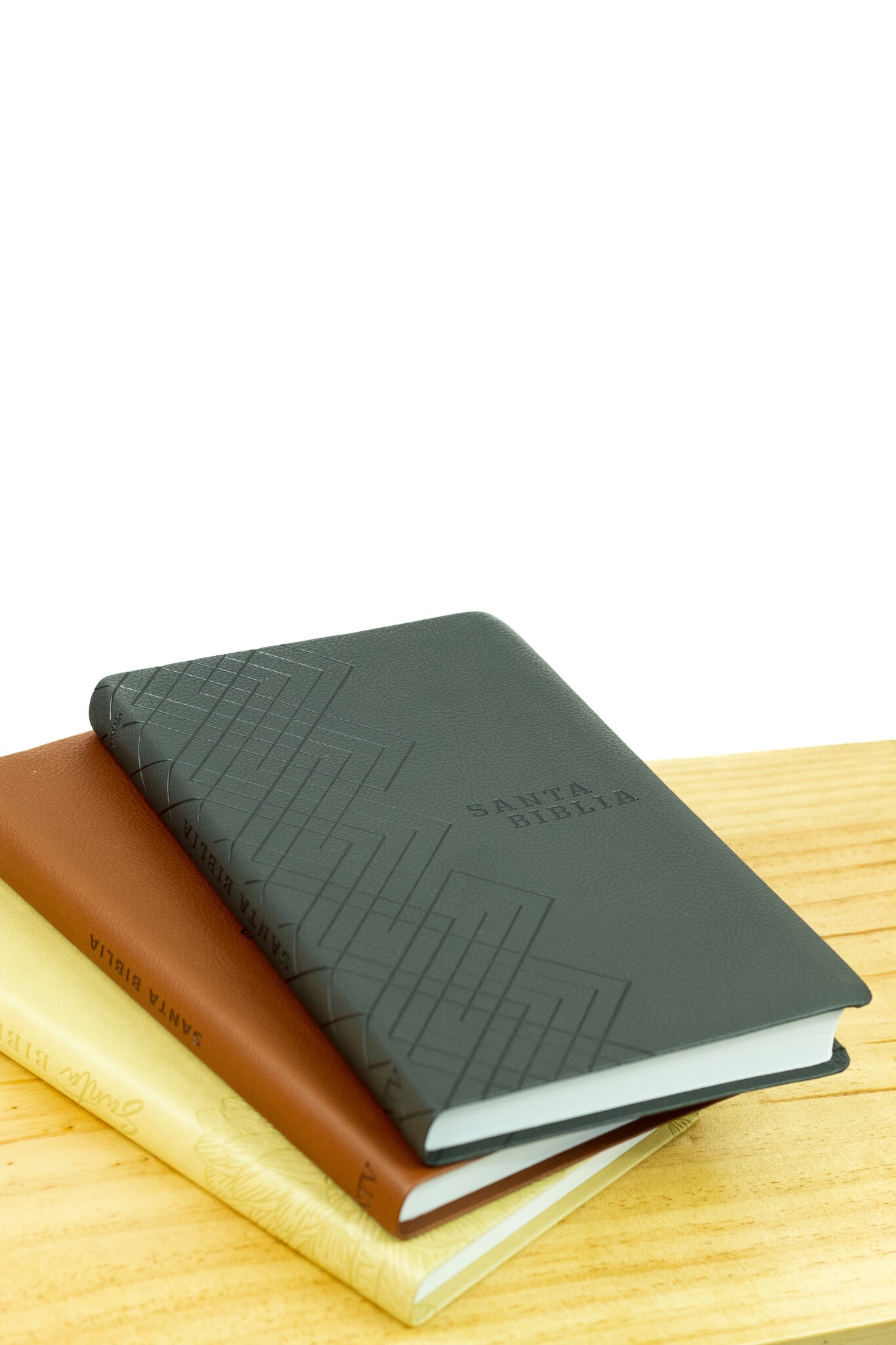 Santa Biblia NTV, Edición Ágape