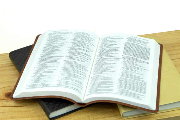 Santa Biblia NTV, Edición Ágape