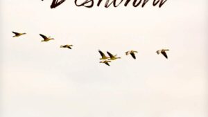 Sin Deshonra
